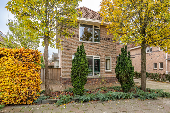 Foto 4 van Joost van den Vondellaan 54