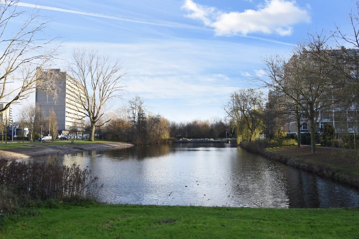 Bekijk foto 4 van Pisuissestraat 393