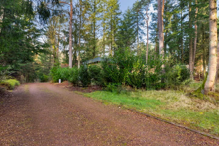 Photo 26 of Reeënbergweg 18-24