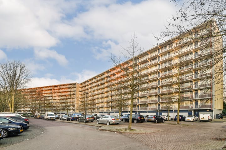 Foto 2 van Condorhorst 134