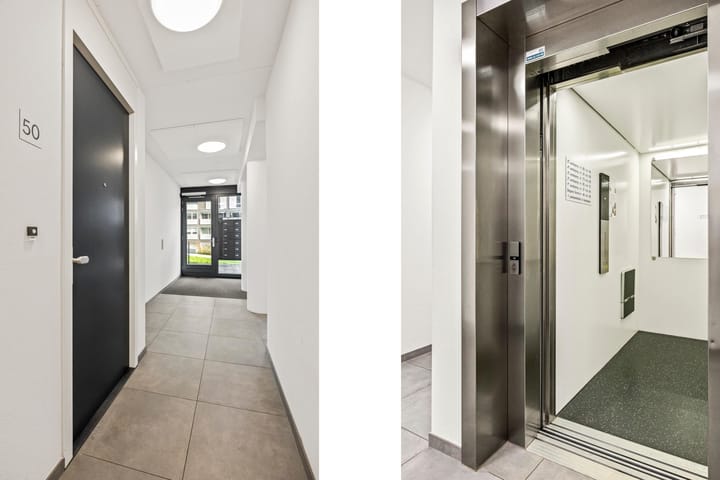 Foto 5 van Demeter 50