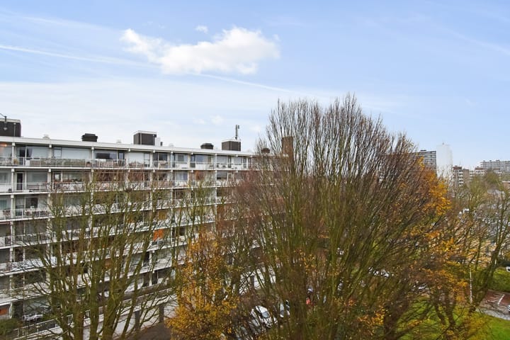 Foto 26 van Suzannaland 476