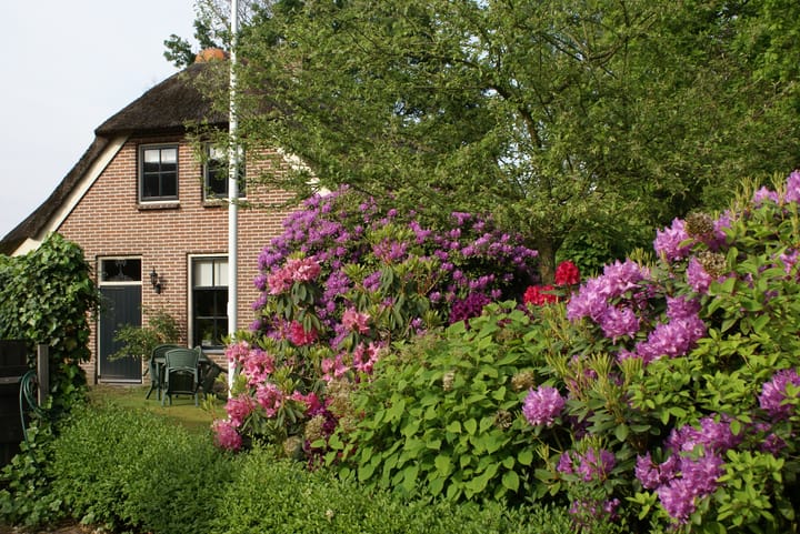 Photo 4 of Veendijk 4