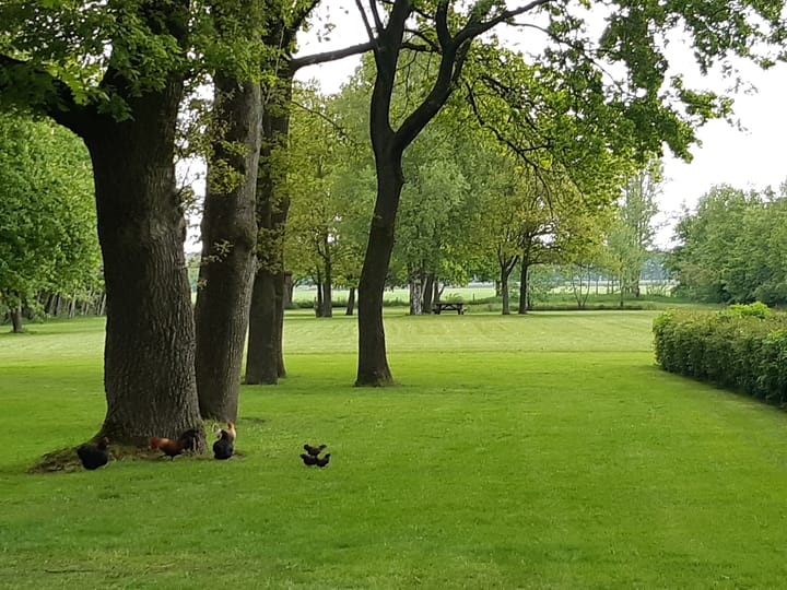 Photo 43 of Veendijk 4