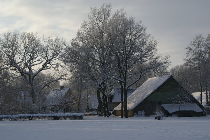 Bekijk foto 46 van Veendijk 4