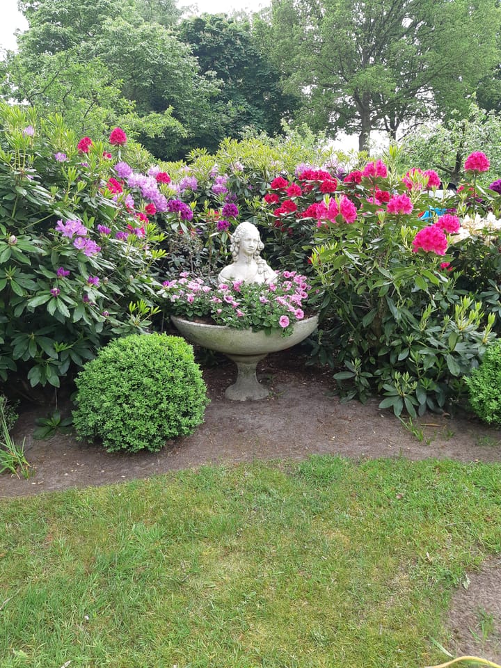 Photo 42 of Veendijk 4