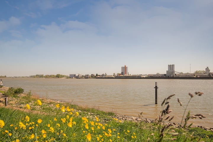 Bekijk foto 25 van Bij de Watertoren 25