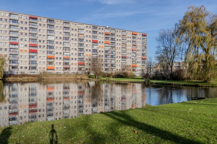 Bekijk foto 4 van Akeleistraat 42-H