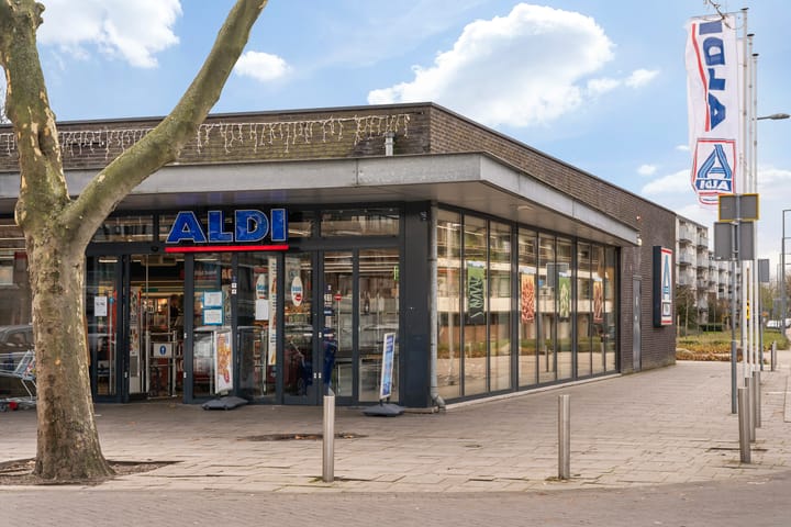 Foto 30 van van Baerlestraat 19