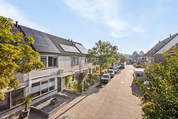 Foto 23 van Gelderse Roos 14