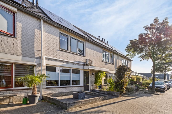 Foto 24 van Gelderse Roos 14