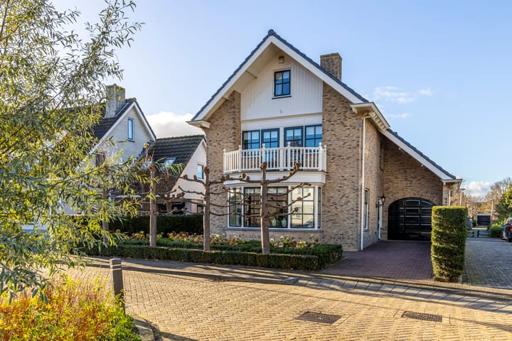 Foto 1 van IJsvogel 9