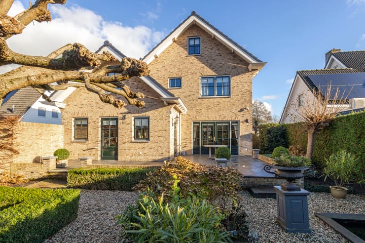 Foto 2 van IJsvogel 9