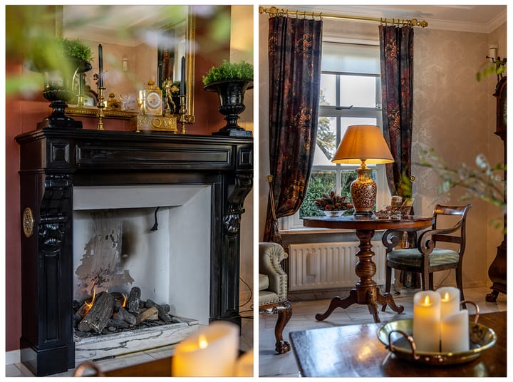 Foto 6 van IJsvogel 9