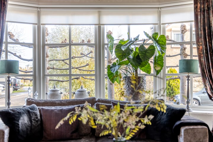 Foto 7 van IJsvogel 9