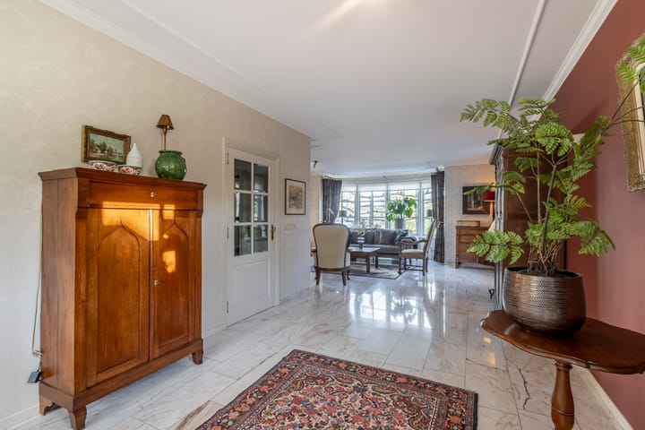 Foto 8 van IJsvogel 9