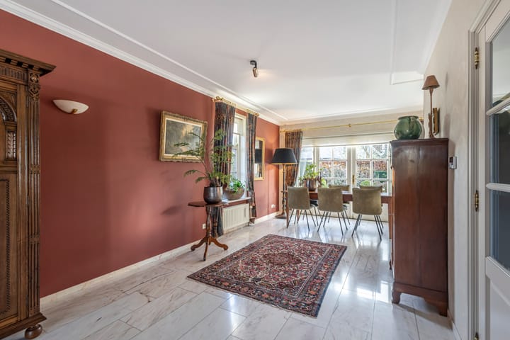 Foto 9 van IJsvogel 9