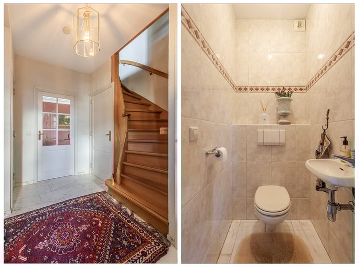 Foto 19 van IJsvogel 9