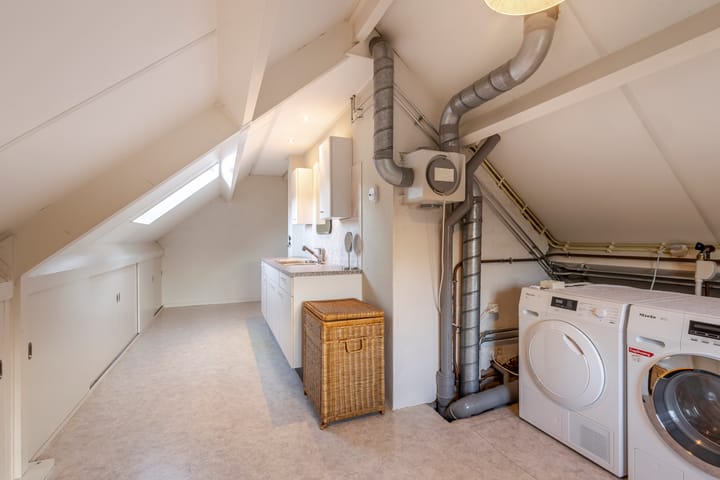 Foto 30 van IJsvogel 9