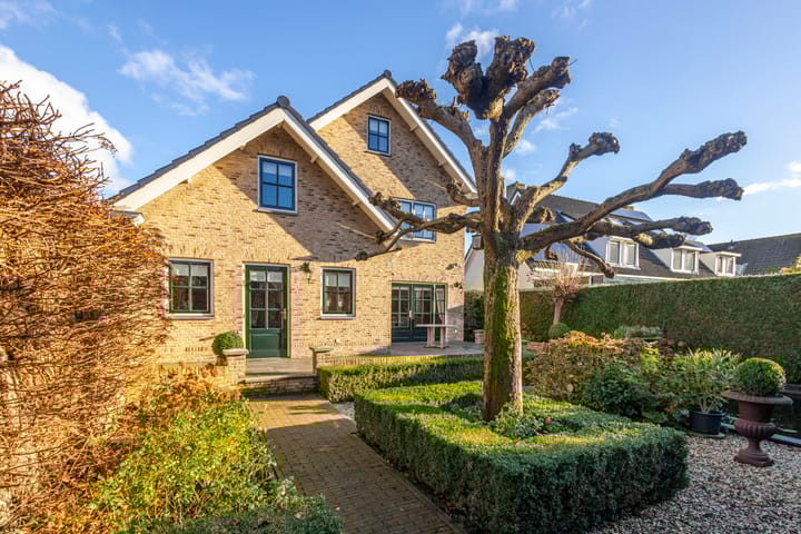 Foto 33 van IJsvogel 9