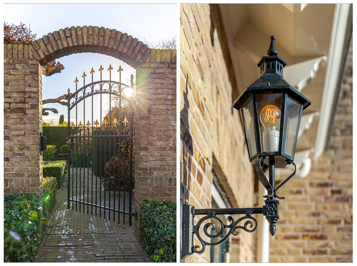 Foto 36 van IJsvogel 9