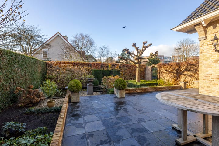 Foto 37 van IJsvogel 9