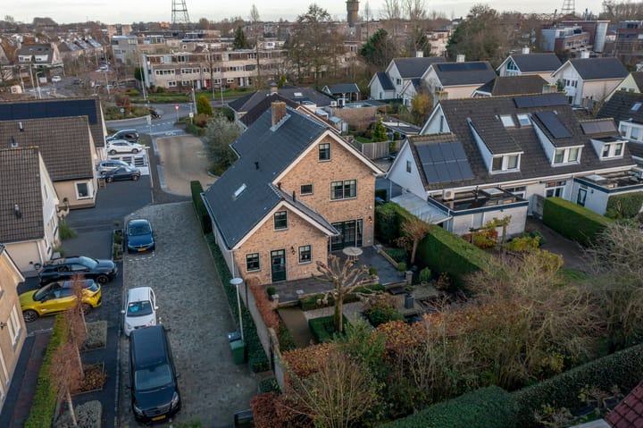 Foto 38 van IJsvogel 9