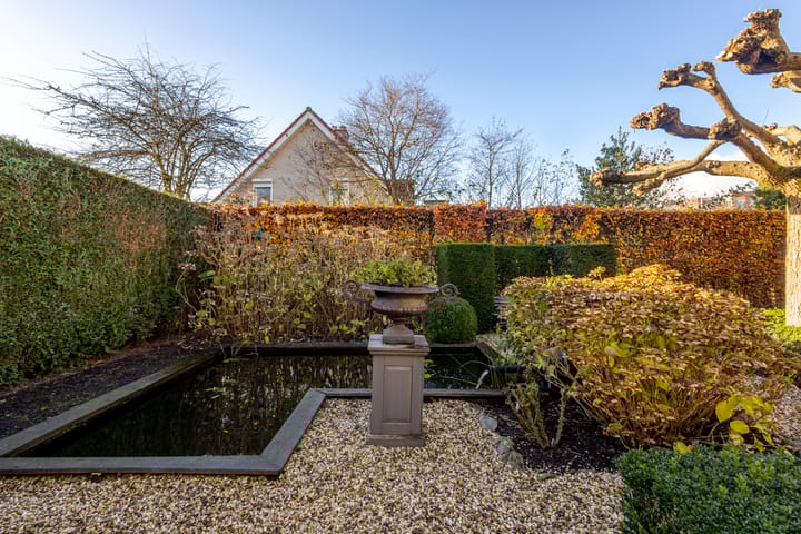 Foto 39 van IJsvogel 9