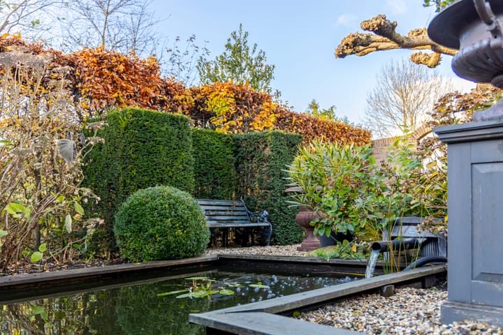 Foto 40 van IJsvogel 9