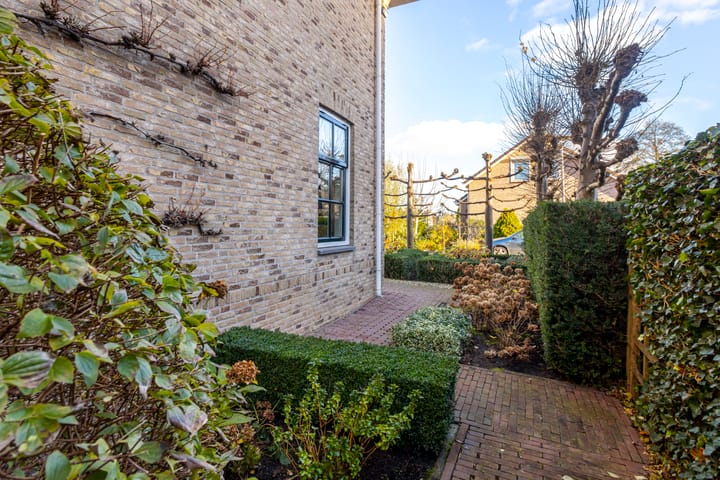 Foto 41 van IJsvogel 9