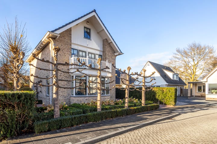 Foto 42 van IJsvogel 9