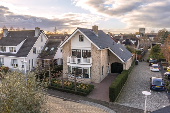 Foto 47 van IJsvogel 9