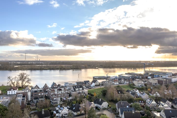 Foto 48 van IJsvogel 9