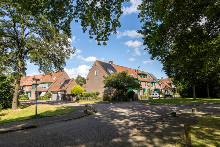 Bekijk foto 3 van Dinkelwijk 1