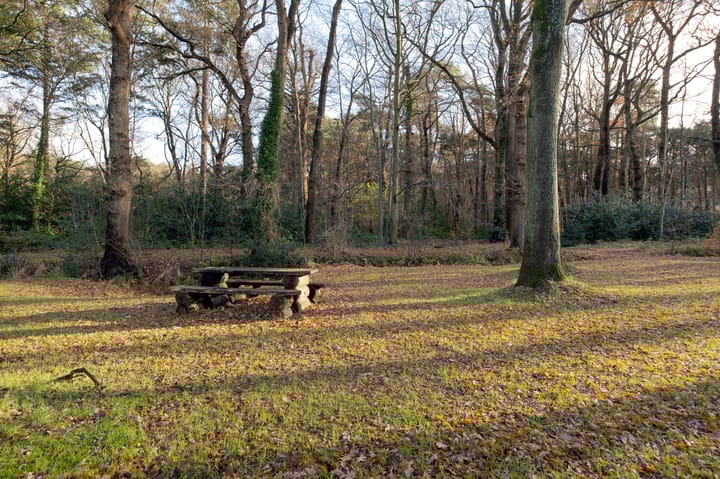 Foto 48 van Mesdagstraat 46