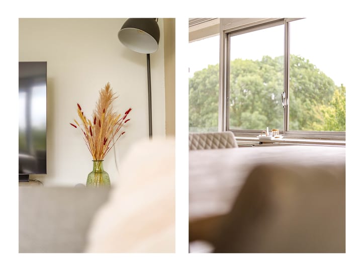 Foto 5 van Patmosdreef 138