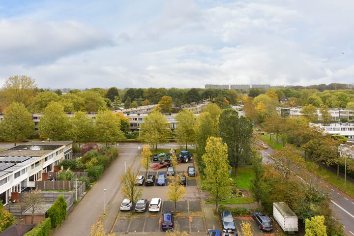 Foto 4 van Boterbloem 71