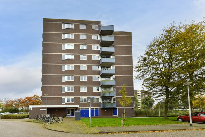 Foto 21 van Boterbloem 71