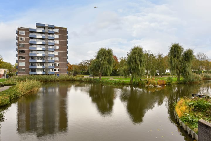 Foto 22 van Boterbloem 71