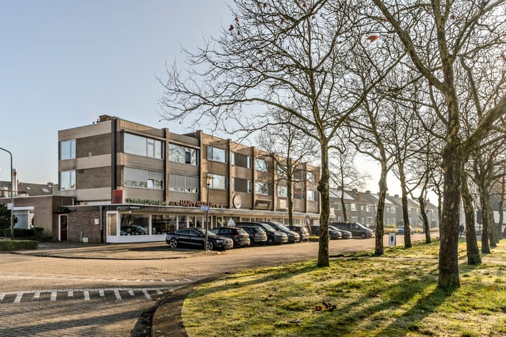 Foto 65 van De Pulserstraat 8