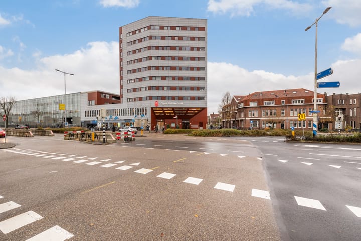 Foto 2 van Vondellaan 234