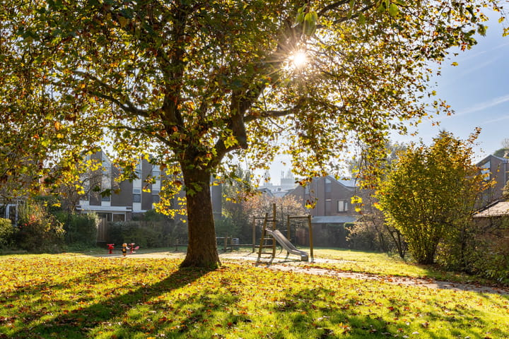 Foto 30 van Aïdaschouw 57