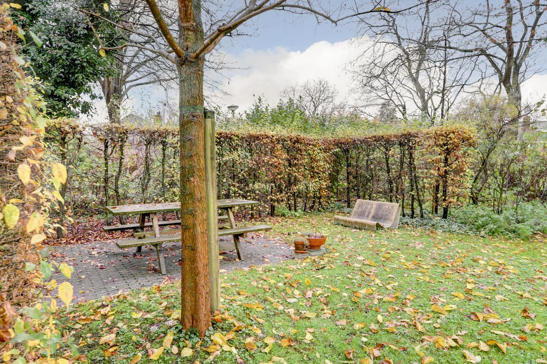 Foto 47 van Nachtegaal 87