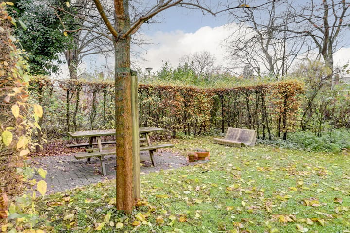 Foto 47 van Nachtegaal 87