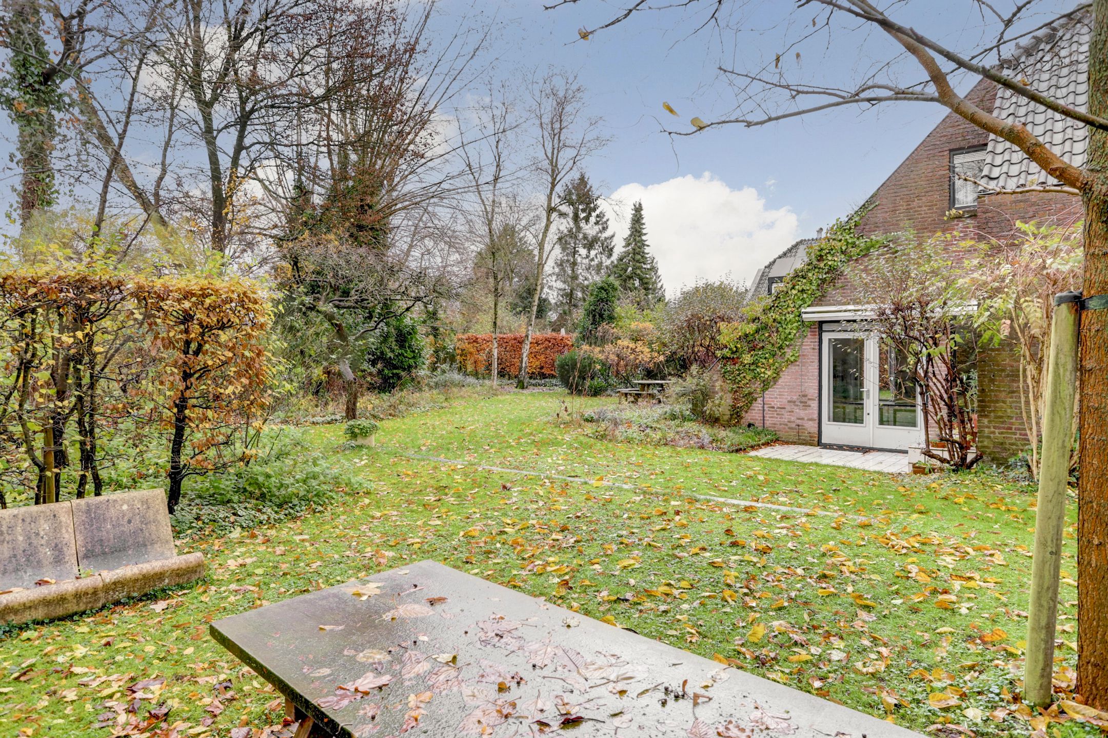 Foto 48 van Nachtegaal 87