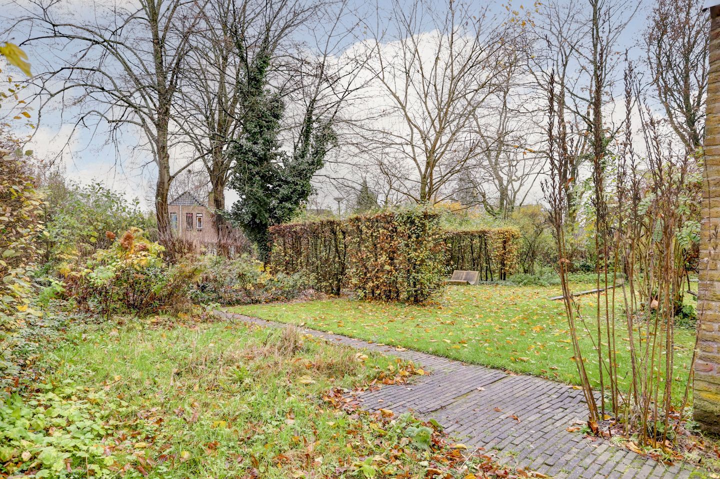 Foto 49 van Nachtegaal 87