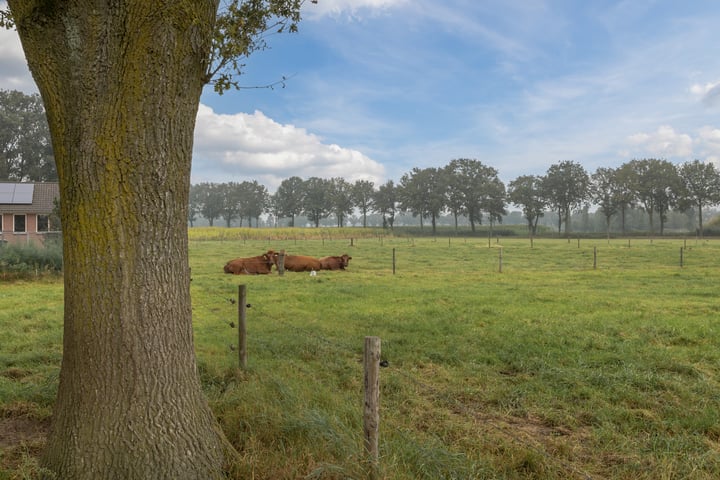 Bekijk foto 40 van Straatkantseweg 22