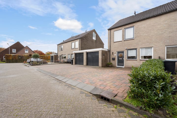 Foto 2 van Akkerdistel 69