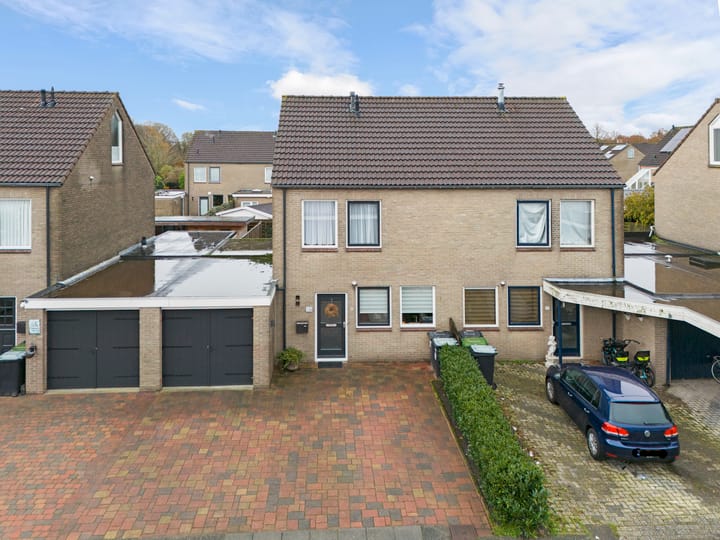 Foto 1 van Akkerdistel 69