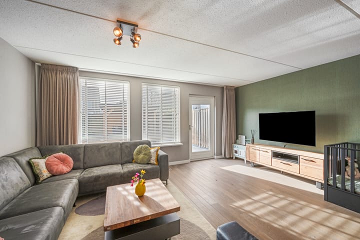 Foto 9 van Akkerdistel 69